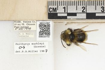 Media type: image;   Entomology 810772 Aspect: labels